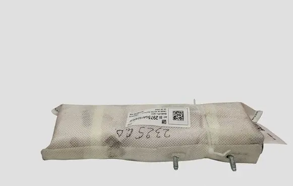 Opel Insignia A Seat airbag BAMPT11631 13222975
