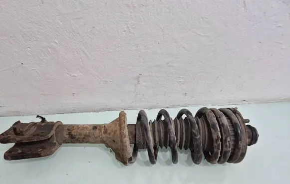 Land Rover Freelander Rear shock absorber with coil spring 