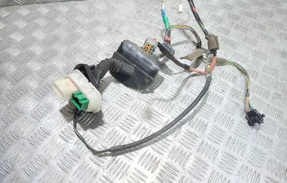 Front door wiring loom