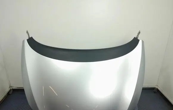 Engine bonnet/hood
