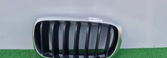BMW X5 F15 Front grill 7316075
