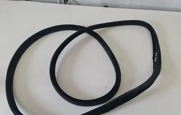 BMW X6 F16 Rubber seal rear door 7317822