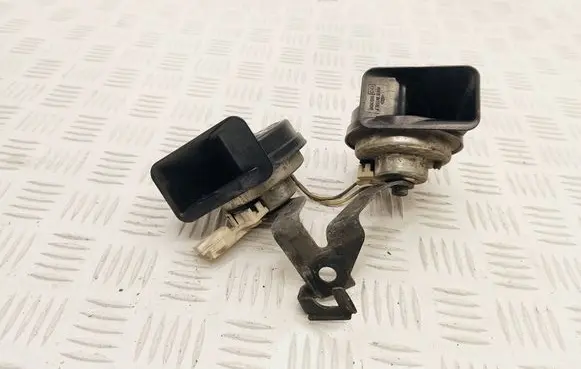 Citroen DS4 Horn signal E30055306