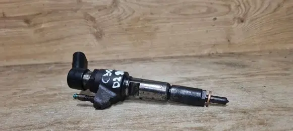Volvo C30 Fuel injector 50274V05