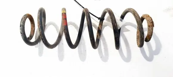 Citroen C4 I Rear coil spring 