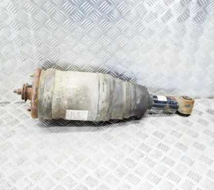 Land Rover Discovery 4 - LR4 Rear shock absorber/damper 22250006 AH2218W002AA