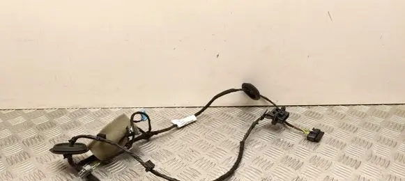 Volvo XC40 Rear door wiring loom 32218863A