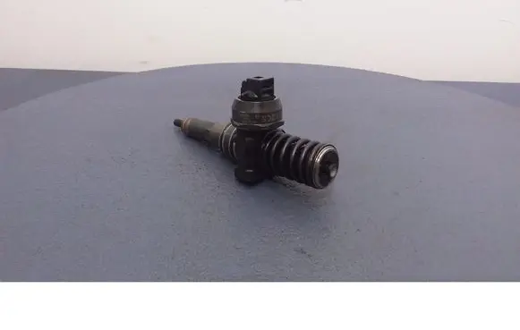 Skoda Octavia Mk2 (1Z) Fuel injector 03813007BN