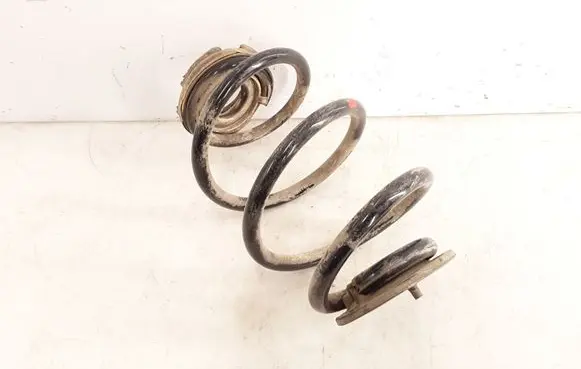 Renault Twingo II Rear coil spring