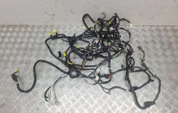 Other wiring loom