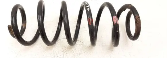 Rear coil spring