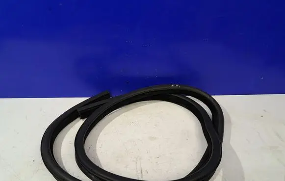 Jaguar XE Rubber seal front coupe door GX7320703A