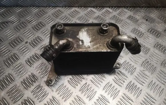 Volkswagen Phaeton Engine oil radiator 3D0409061G