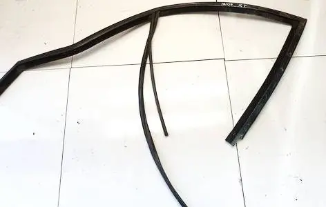 Renault Scenic II - Grand scenic II Rubber seal front coupe door 