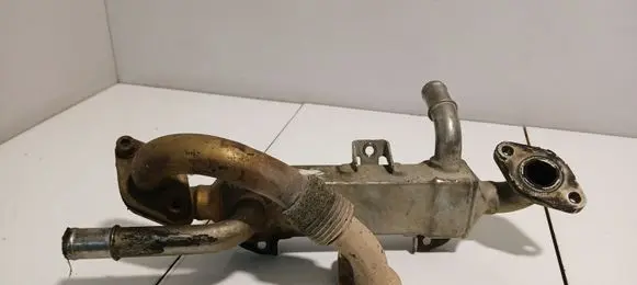 Volkswagen Golf IV EGR valve cooler
