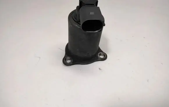 Renault Kangoo I EGR valve 53339606 015002