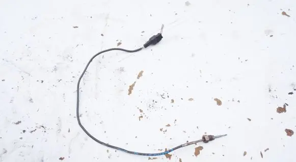 Exhaust gas temperature sensor