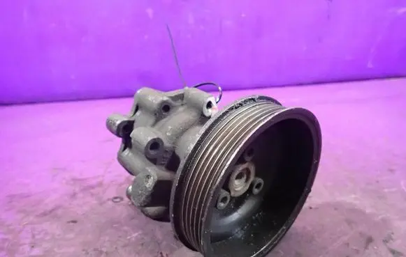Volkswagen Golf IV Power steering pump