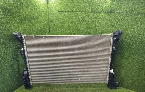 Renault Trafic III (X82) Coolant radiator 214106419R KW768001 0248804