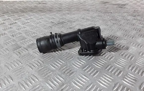 Thermostat/thermostat housing