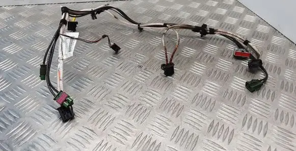 Other wiring loom
