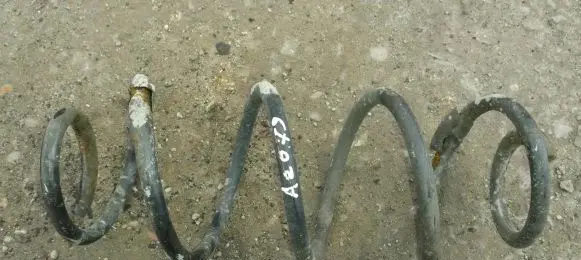 Rear coil spring