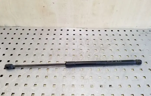 Tailgate/trunk strut/damper