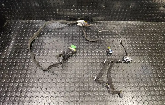 Citroen C4 II Rear door wiring loom 9810102480
