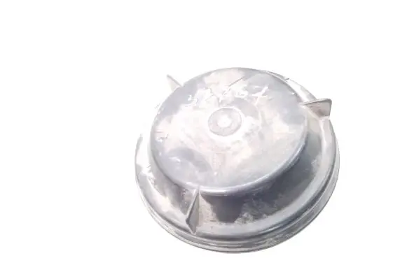 Renault Scenic I Headlight/headlamp dust cover 88202113