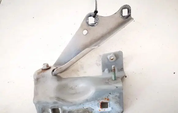 Cadillac CTS Engine bonnet/hood hinges 25712643 25720584l