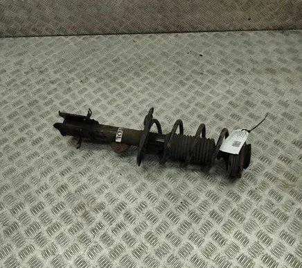 Nissan Juke I F15 Front shock absorber/damper E4303BA61A