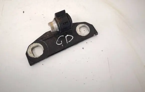 Volvo V70 Rear door lower hinge 
