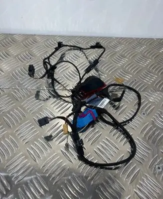 Audi Q5 SQ5 Front door wiring loom 8R0971036D TAB010766MN