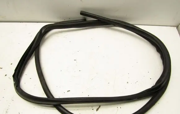 Nissan Juke II F16 Front door rubber seal 104802