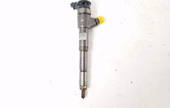 Renault Kangoo II Fuel injector 0445110485