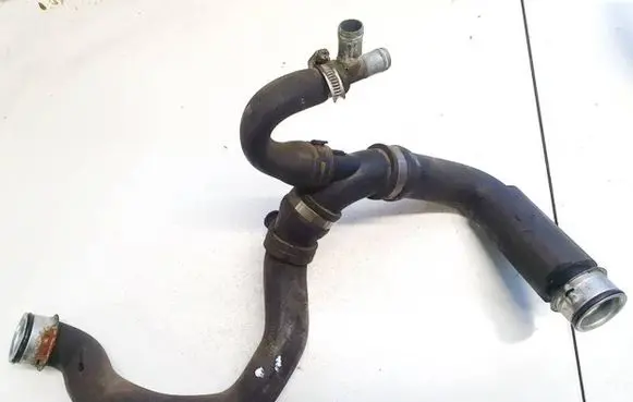 Mercedes-Benz C W203 Engine coolant pipe/hose 3013356