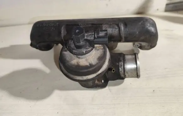 Ford Focus Intake manifold Xs4q9424ag