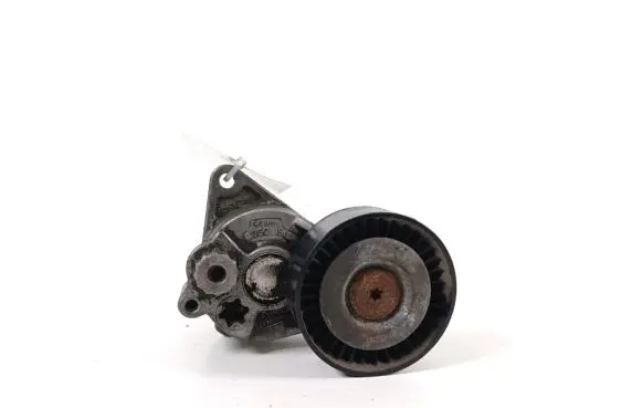Mercedes-Benz Vito Viano W639 Timing belt/chain tensioner A6462000570