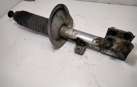 Citroen C4 I Front shock absorber/damper R044210g
