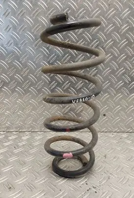 Rear coil spring