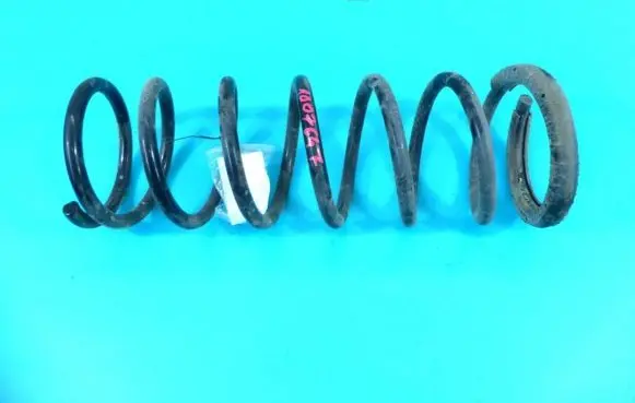 Rear coil spring
