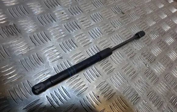 BMW 6 F12 F13 Front bonnet/hood damper/strut 7309119