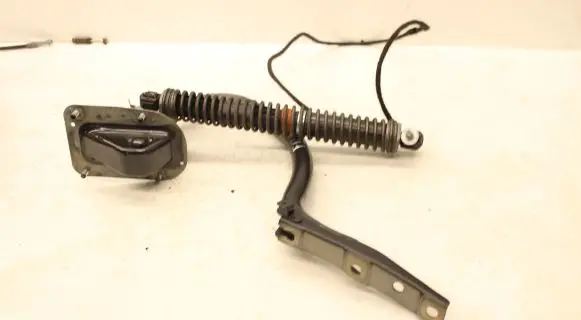 Tailgate strut