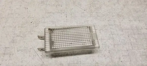 Opel Insignia A Front door interior light 