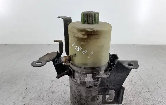 Seat Ibiza III (6L) Power steering pump
