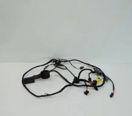 Audi Q5 SQ5 Front door wiring loom 8R0971030CP