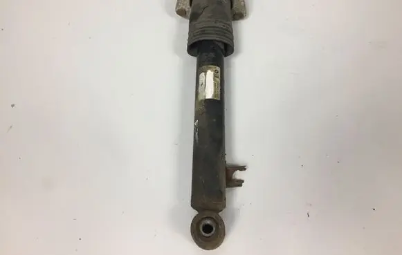 BMW X6 E71 Rear shock absorber/damper 6783017
