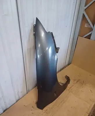 Seat Leon (1M) Fender