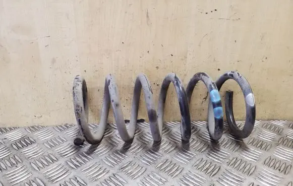 Chevrolet Captiva Rear coil spring