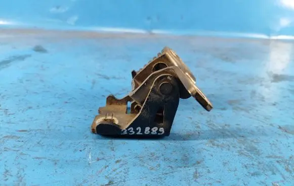 Chrysler Sebring (JS) Front door lower hinge 55360919AD
